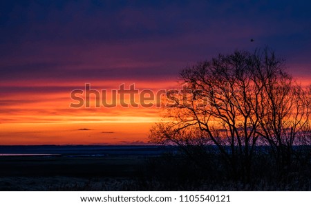 beautiful evening sunset landscape with clouds and trees