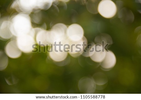 Bokeh is a word derived from Japanese. Meaning blurred or unclear. In photography, it means outside the focus. This is a technique that adds beauty to the picture.