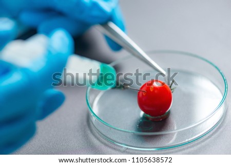 GMO geneticaly modified food Royalty-Free Stock Photo #1105638572