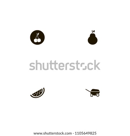 Fruits icons set. garden, melon, watermelon and pear