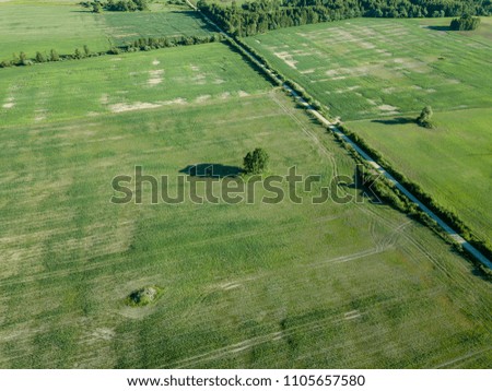 drone image. aerial view of countryside road network, cultivated fields and forest textures. latvia