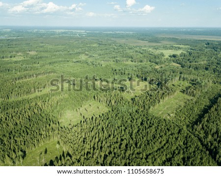 drone image. aerial view of rural area with fields and forests in cloudy spring day. latvia