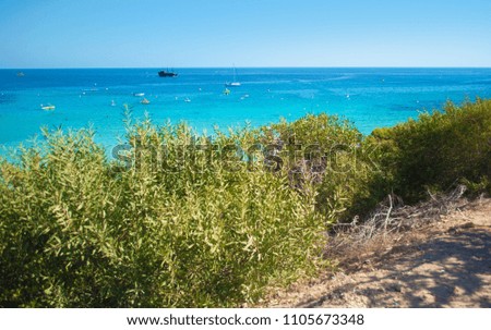 Image of a lagoon near Agia Napa, Cyprus. Many small boats in transparent blue water in a bay on the background of green bushes. Cloudless day in fall
