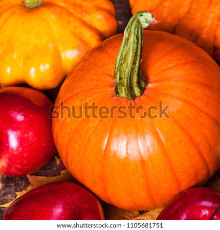 Harvest or Thanksgiving background with pumpkins, apples and fallen leaves on wooden background  with copyspace. Halloween, 
