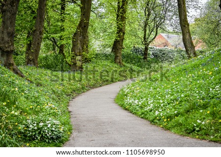 Pathway with green grass, grass flower and trees in Queen Park, Bolton, England, spring season