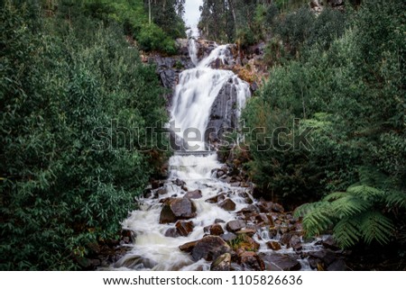Steavenson Falls, a waterfall on the Steavenson River, is located 4 kilometres southeast of Marysville, Victoria, Australia.