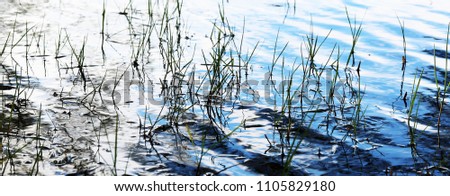 close up of water waves ripples showing soft textured silky patterns and inky reflections. Perfect for backgrounds and banner or fine art canvas. reeds reflecting calm and peaceful stylish artwork.