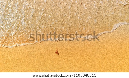 Soft waves in the sea on a beautiful sandy beach
