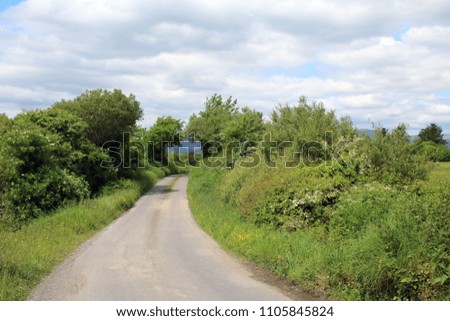 Irish Country roads on whiddy island, west Cork, Ireland