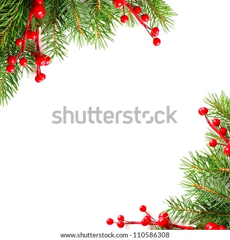 Christmas green fir and red holly berry, background