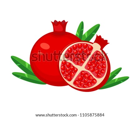 Juicy red  pomegranate fruit with leaf vector illustration. Isolated white background. Cutting pomegranate. Vector illustration isolated on white background.