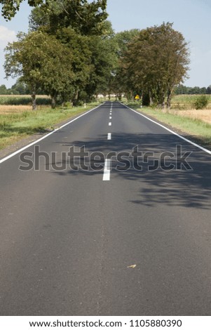 Asphalt road. White road lanes on the roadway.