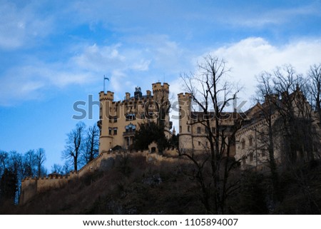 Dry Trees at Hohenschwangau Castle in the Bavarian Alps, against blue sky. Winter.