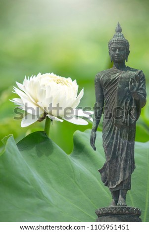 double exposure of the lotus flower or water lily and face of buddha statue. Buddhism is popular in china japanand thai people so many culture of Thailand involved buddha.