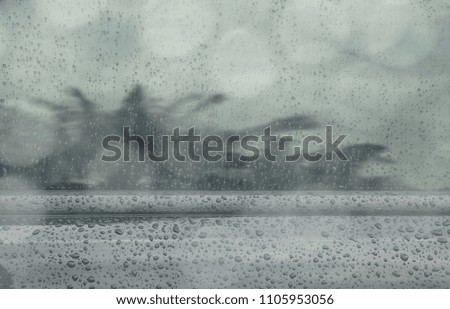select focus drops rain  with shadow of coconut tree on car window background
