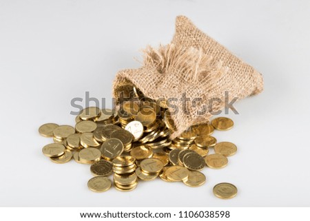 isolated coins on the white background with wicker bag.money investment for real estate ,car and health.