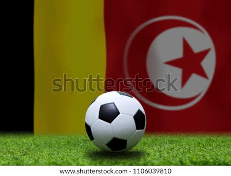 Football Cup competition between the national Belgium and national Tunis.
