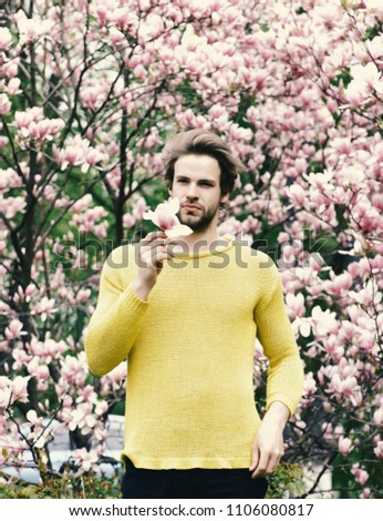 Have a nice day. New life and optimism. Spring season concept. Man holding magnolia flower in park with blossoming trees. Macho with beard in yellow sweater on floral background. Flourishing and