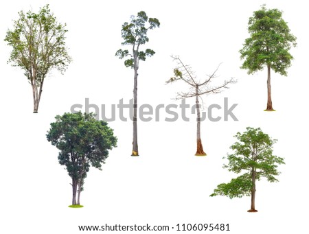 Trees isolated on white background , The collection set of trees. Large pixels picture.