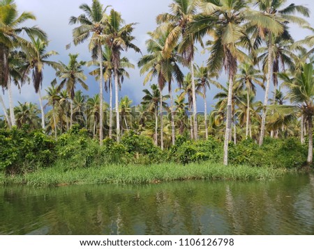Beautiful nature images in Kerala along with Malabar coastal area from India. I interesting in photography which I was cached images maximum adventures, nature and locations.
