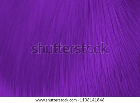 Abstract background of pelican feathers toned in the color of the year Pantone ultra violet. Close up.