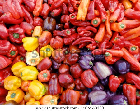 Mix of colors and types of Peppers at a farmers market in San Francisco