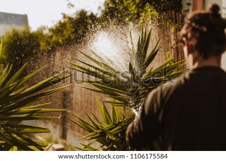 Man watering the garden