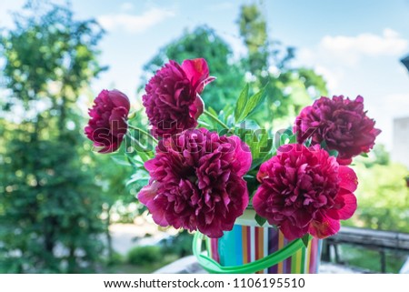 Bouquet of beautiful red Peonie flowers outdoors.