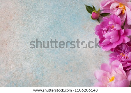 Background with pink peonies for text congratulations, invitations