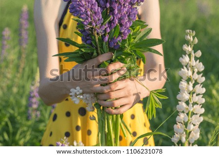 bouquet of lupines in his hands

