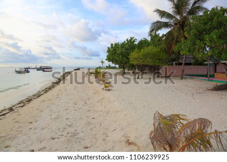 Beautiful tropical landscape. White sand beach and green plants on blue sky with white clouds background. Maldives, Indian Ocean. 