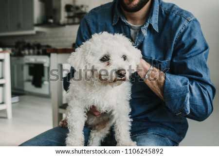 Handsome young man playing with his cute little white dog at home. Relaxed on the sofa. Lifestyle. Pet photography.