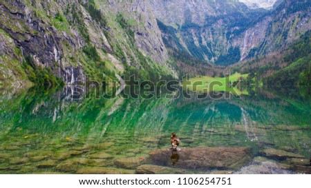 duck bird on Obersee lake in Bavaria Germany
