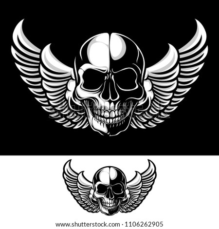 Skull with wings vector