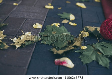 Autumn composition of green and gold maple leaves on the pavement. Top view, flat lay, copy space.