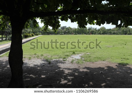 The teriitory of the park in downtown of Denpasar, many beautiful rows of trees and a grass field, Bali Island, Indonesia