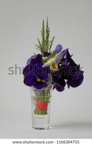 Close-up bouquet of violets on the white background. Viola tricolor bouqet in a glass vase. Romantic vintage bouquet of spring flowers. Trendy colors. Place for text.