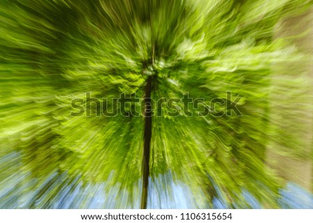 Abstract green background of tree in countryside outdoors. Zoom speed blured motion. Created by zooming out.