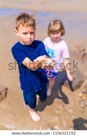 Boy holding starfish on his hand at seaside