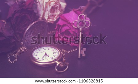 Roses, a pocket watch and  old key. Vintage Wonderland background. Soft selective focus, toning