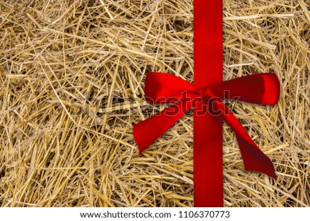 Red satin ribbon. Background, texture of dry grass, hay, straw. Copy space