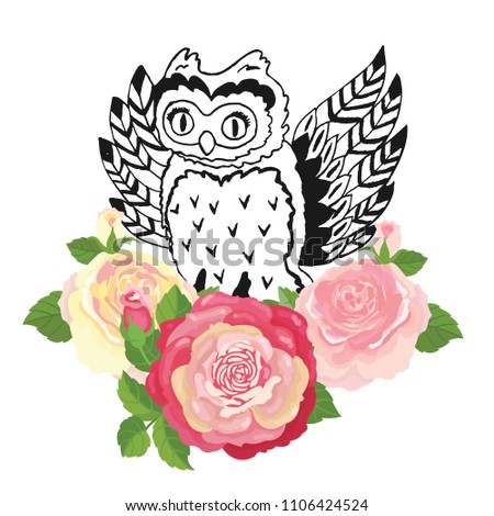 Owl and roses hand drawn illustration