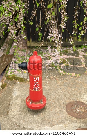 Red fire hydrant on the street near old town of Kakunodate, Japan. Sakura in background. Japanese Language mean "fire hydrant".