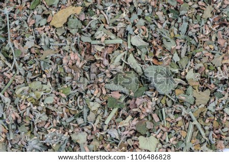 Dried herb, spice, flower used in cooking and medicinal healing, set as background, top view
