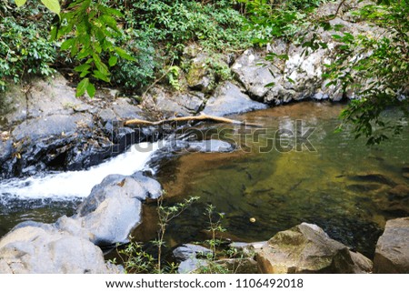 This beautiful picture shows the whole jungle vegetation with a small waterfall and lake with fish in it. The picture was taken at the palau waterfall in Hua Hin Thailand