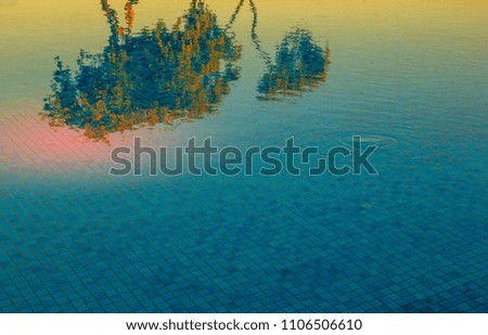 Reflection at sunset of a shrub with orange flowers in the blue water of a pool image with copy space