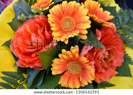 Orange gerbera bouquet stock images. Beautiful orange gerbera daisy. Orange bouquet mix