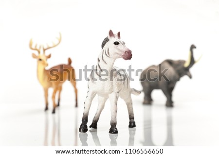 Zebra toy on white background