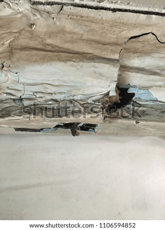 Damaged by termites, rotten, decayed paint wood