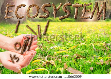 Conceptual picture of two hands holding the Ecosystem word made of wood.
